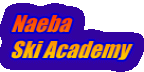 Naeba Ski Academy